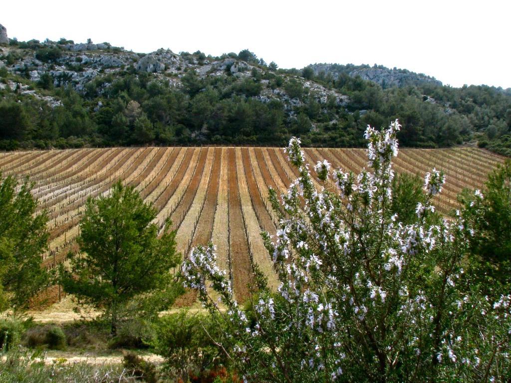 Guest house Mas Du Soleilla Narbonne